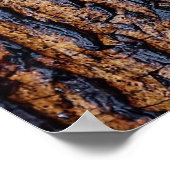 Poster Écorce humide (Coin)