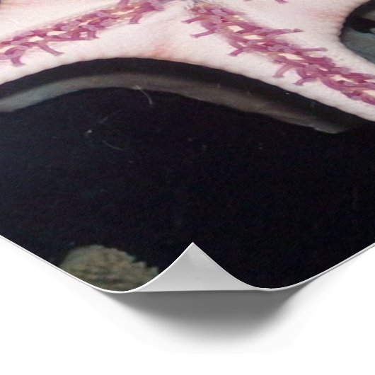 Poster Écorce rose (Coin)