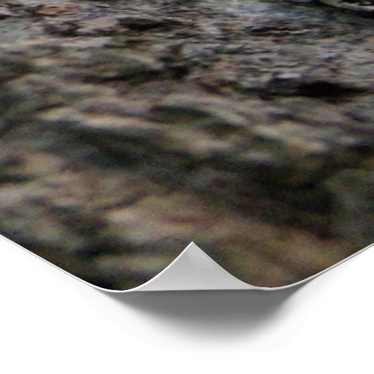 Poster Écorce sur un arbre (Coin)