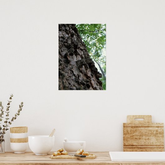 Poster Écorce sur un arbre (Cuisine)