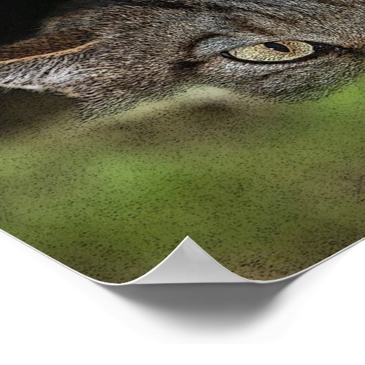 Poster écossais (Coin)