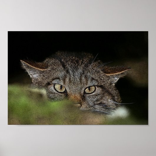 Poster écossais (Devant)