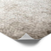 Poster Ecosse, AYE ! (Coin)