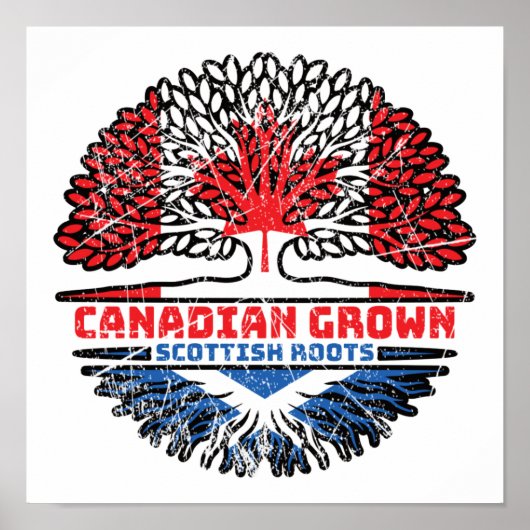 Poster Écosse Écosse Canadian Canada Tree Roots Flag (Devant)