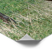 Poster Ecosse et Trot clignotant vers la caméra (Coin)