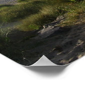 Poster écosse Findhorn Boardwalk (Coin)