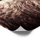 Poster Écosse Highland Longhorn Long Haired Cow (Coin)