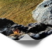 Poster Ecosse, magnifique paysage de montagne (Coin)