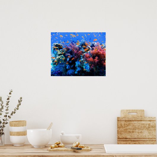 Poster Écosystème sous-marin tropical (Cuisine)