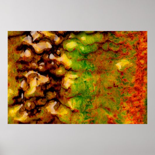 Poster écosystème thermique (Devant)