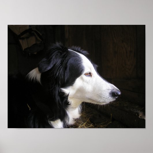 Poster "Écoute" (Devant)