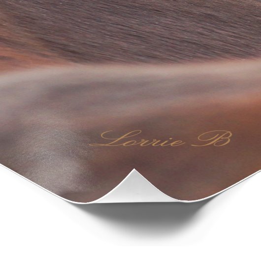 Poster Écouter (Coin)