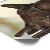 Poster Écran Coussin Dormant (Coin)