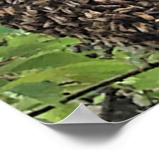 Poster Écran d'abeilles (Coin)