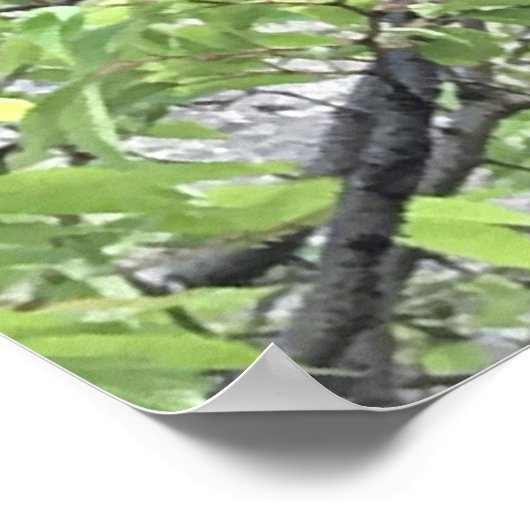 Poster Écran d'abeilles (Coin)