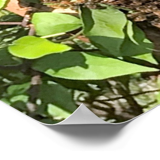 Poster Écran d'abeilles (Coin)