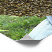 Poster ÉCRAN D'ABEILLES. Abez flippé ou émerveillé ! (Coin)