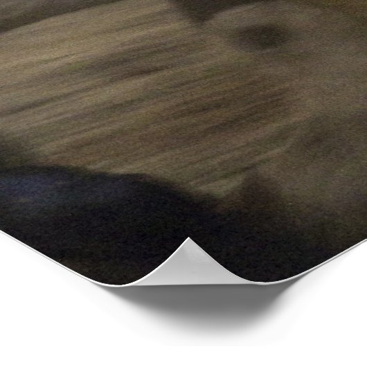 Poster Écran d'art des Chevaux sauvages (Coin)