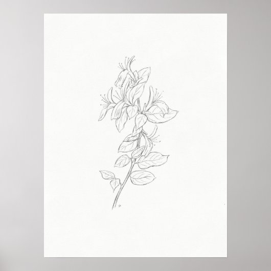 Poster Ecran d'art Honeysuckie (Devant)