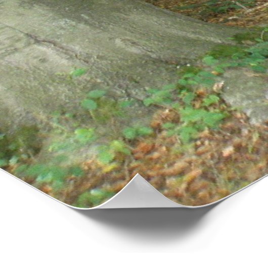 Poster Écran de défrichement des bois (Coin)