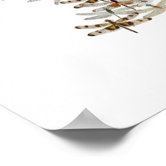 Poster Écran de libellules (Coin)