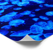 Poster Écran de méduse (Coin)