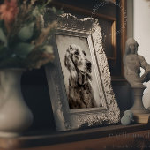 Poster Écran de portrait d'un Setter anglais