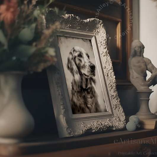 Poster Écran de portrait d'un Setter anglais