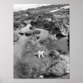 Poster Écre (Devant)