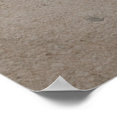 Poster Écriture (Coin)