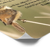 Poster Écriture biblique inspirante Citation Romains 8:38 (Coin)