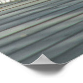 Poster Écriture de l'alligator (Coin)