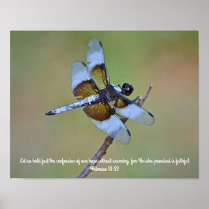 Poster Écriture de libellules Photographie Art Imprimer