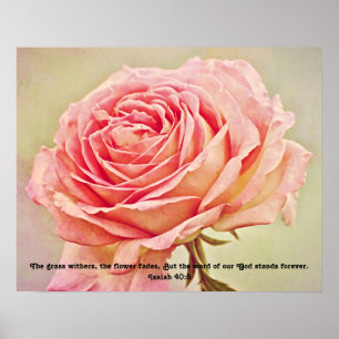 Poster Écriture Rose rustique Art photographique Imprimer