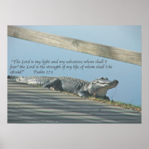 Poster Écriture sainte d'alligator