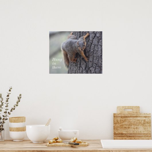 Poster Écureuil (Cuisine)