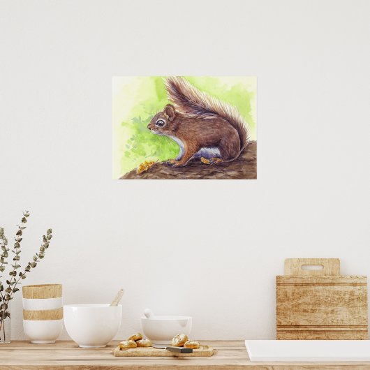 Poster Écureuil (Cuisine)