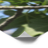 Poster Écureuil (Coin)