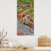 Poster Écureuil alimentation (Cuisine)