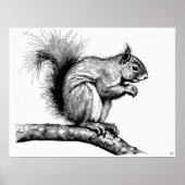 Poster Écureuil - Art Archivé Imprimer (Devant)