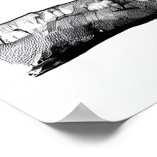 Poster Écureuil - Art Archivé Imprimer (Coin)