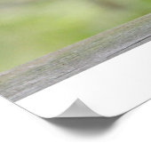 Poster Écureuil assis sur une théière (Coin)