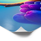 Poster Écureuil Bleu Mangeant Un Fruit-323232 (Coin)