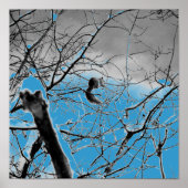 Poster Écureuil Blizzard B+W (Devant)