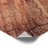 Poster Écureuil - bois (Coin)