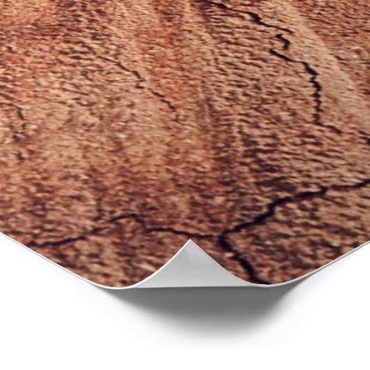 Poster Écureuil - bois (Coin)