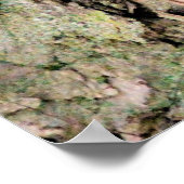 Poster Écureuil chic (Coin)