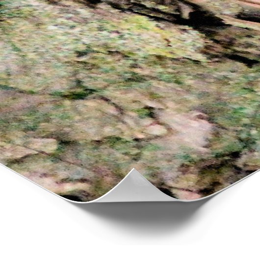 Poster Écureuil chic (Coin)