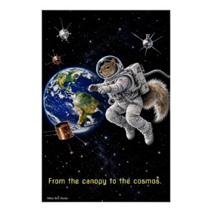 Poster Écureuil dans l'espace