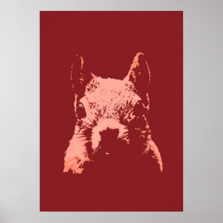 Poster Écureuil d'Art Pop